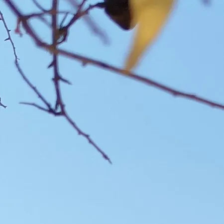 Nereids Apartments-thetis Petalídhion