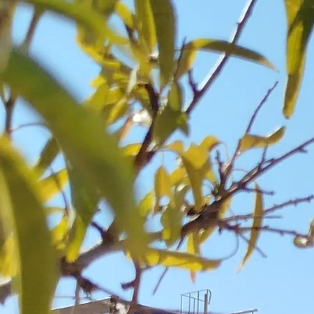 Nereids Apartments-thetis *