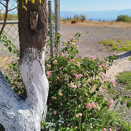 Nereids Apartments-thetis Lägenhet Petalídhion