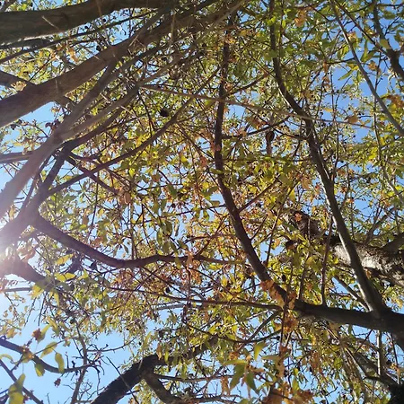 Nereids Apartments-thetis Διαμέρισμα