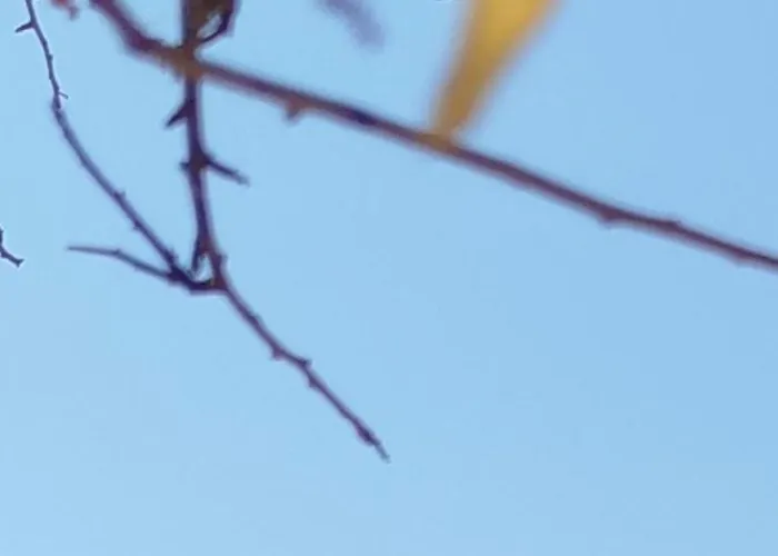 Nereids Apartments-thetis Petalídhion