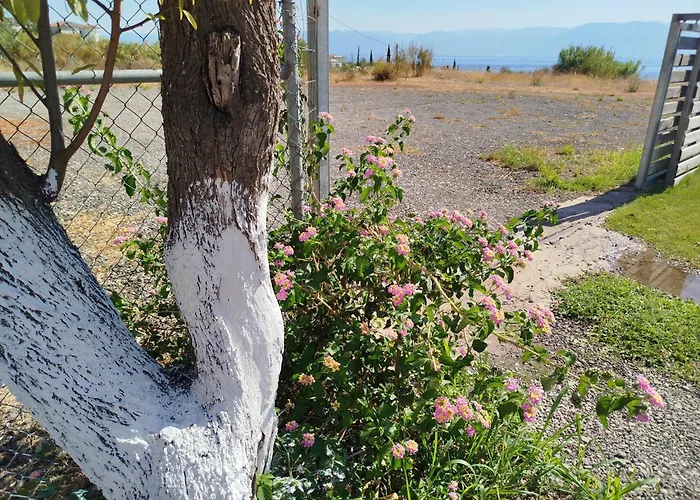 Nereids Apartments-thetis 아파트 Petalídhion