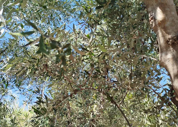 아파트 Nereids Apartments-thetis