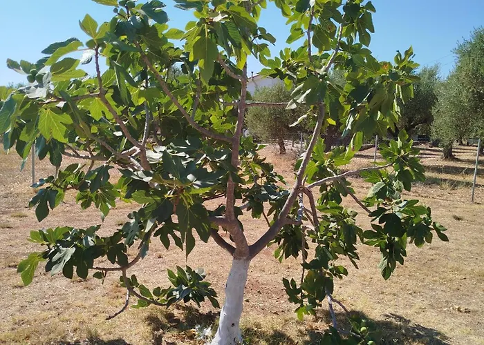 Nereids Apartments-thetis 아파트 Petalídhion