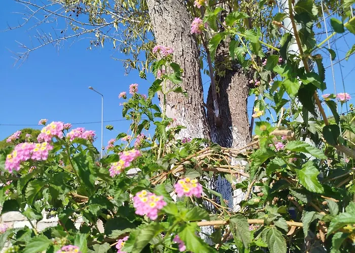 Nereids Apartments-thetis * Petalídhion